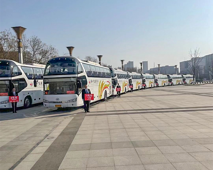 案例展示